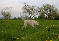 /album/a2010/img-3526-2-jpg/